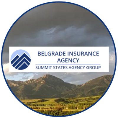 Belgrade Insurance Logo 2025 Belgrade Insurance